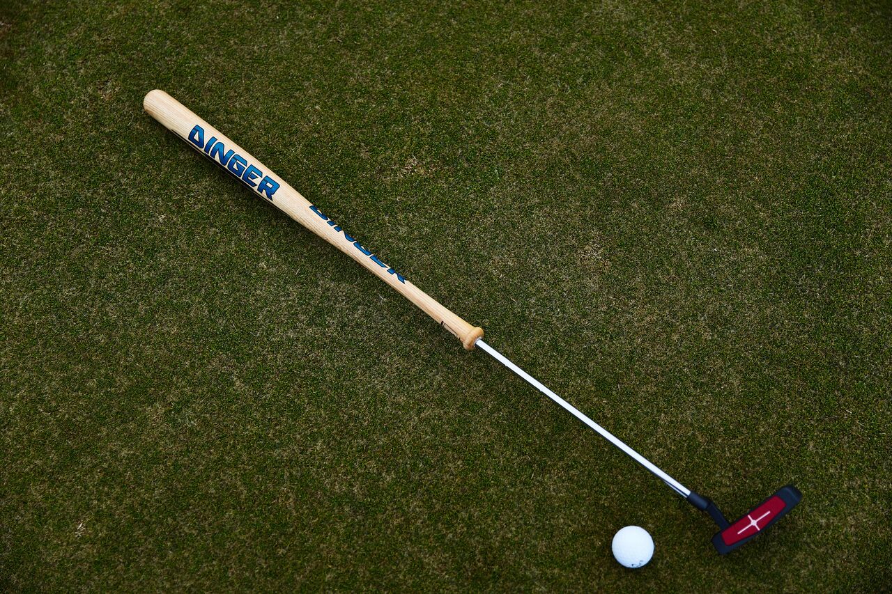 Dinger Bat